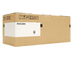 Print Cartridge Black P501/IM430